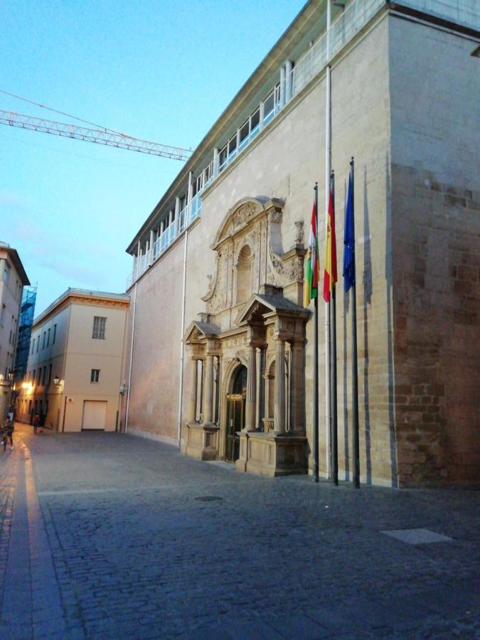 Apartamento Turistico Santiago لوغرونيو المظهر الخارجي الصورة
